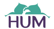 thehumstation